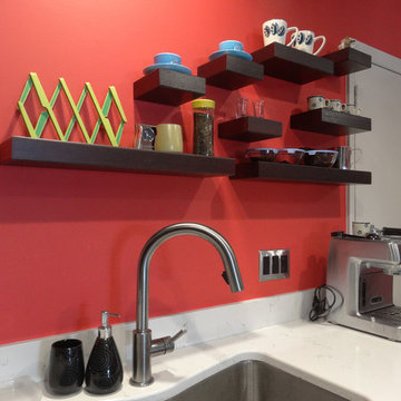 Ann Arbor Kitchen Remodel: Modern Meets Funky