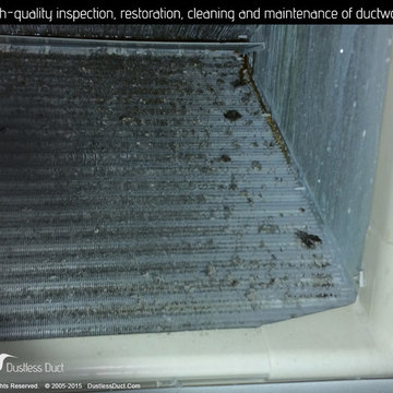 Air Duct Cleaning Silver Spring
