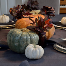 Fall Decor
