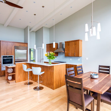 Mid Century Modern, New Build