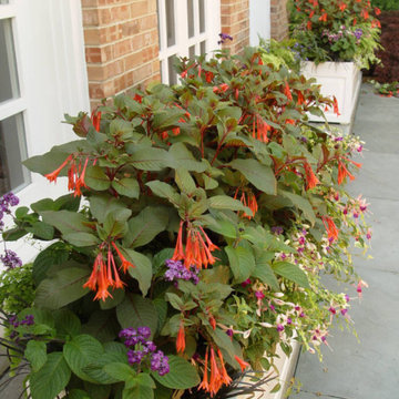 Container Pot Gardens