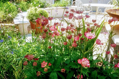Town Garden