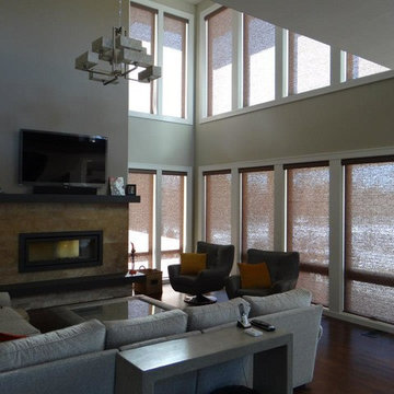Hunter Douglas Pirouettes and Designer Roller