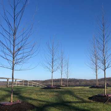 tree install