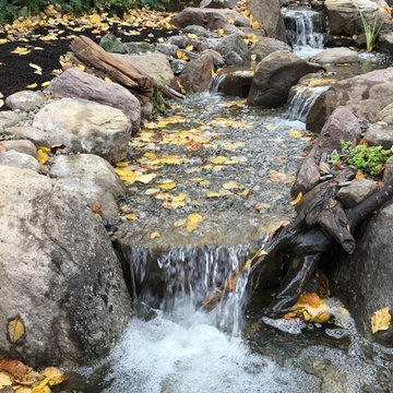 Pond Retrofit