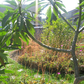 Fountain Valley Eco Yard