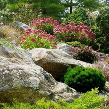 Build Landscaping