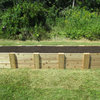Deep Root Cedar Raised Bed Garden Kit, 2 ft. x 10 ft. x 16.5 in. High