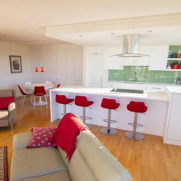 Open Concept Condo Kitchen