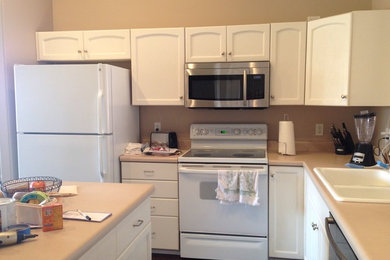 Kitchen remodel--minor updates
