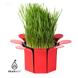 Mini 4 Planter / Herb Container - Products