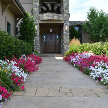 Annual Flowers