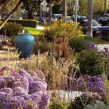 front yard