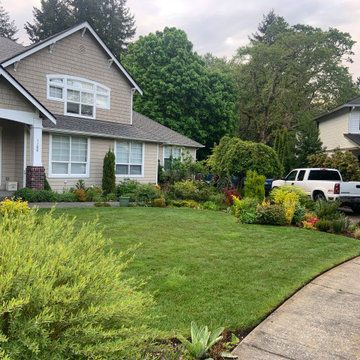 Layered, jewel-toned front yard redesign
