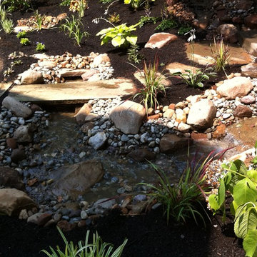Pools, Ponds, and Water Features
