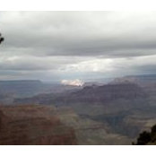 Peggy Daniels's photo