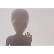 Axel Longo's photo