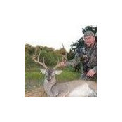 JASON GREEN's photo