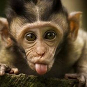 Glenn Piggott's photo