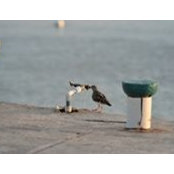 Galina Barry's photo