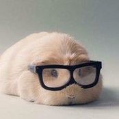 Chris Jovic's photo