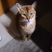 Foto de 高橋秀樹
