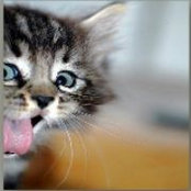 Adrie Oginski's photo