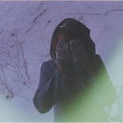 Cobi Delfiners foto