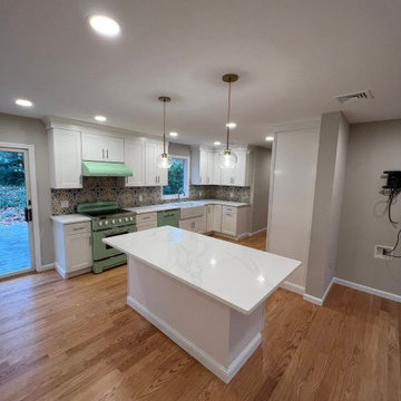 Curtin Open Concept Remodel