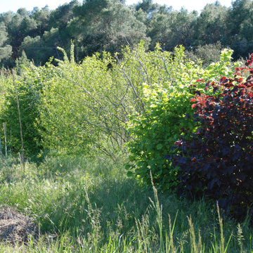 Un jardin paysager comestible
