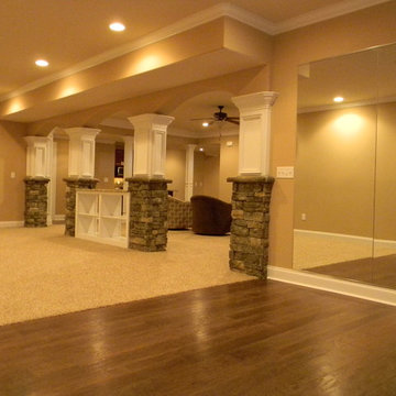 Basement Remodel