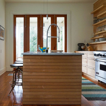 Shotgun Duplex Renovation