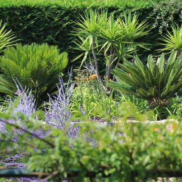 Architecte de Jardin Cannes | Contrasts et géométrie