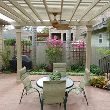 Back yard!!!!