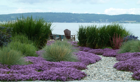 Gartenstile kurz erklärt: Der maritime Garten