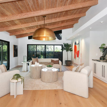 Stylish Mid-Century Modern