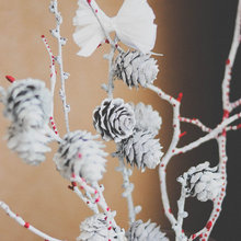 EvelinaLPhoto » Home Décor