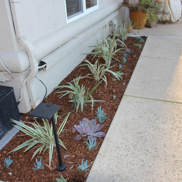 Landscape Lights