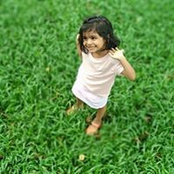 Foto von Nithya Sreekumar