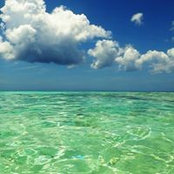 Helen del Valle's photo