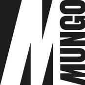 Foto di MUNGO Srl - HOME RESTYLING