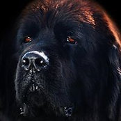 Anton Filip's photo