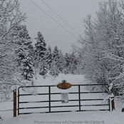 Tom Durham's photo