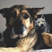 Martin Rock's photo