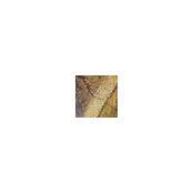 Nancy Marek's photo