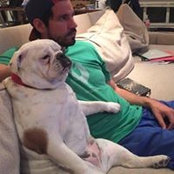 Marcelo Pippa's photo