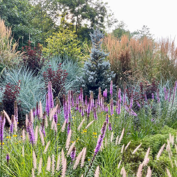 Mid-summer color