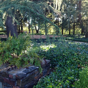 English Garden for a Craftsman Remodel at Home Ranch
