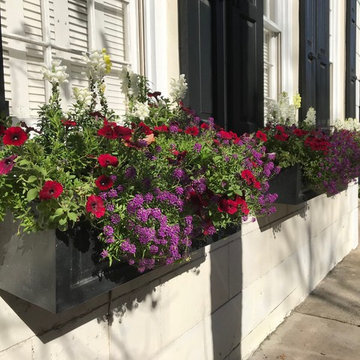 Southern Window Boxes