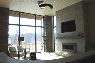Living room - contemporary living room idea in Cedar Rapids